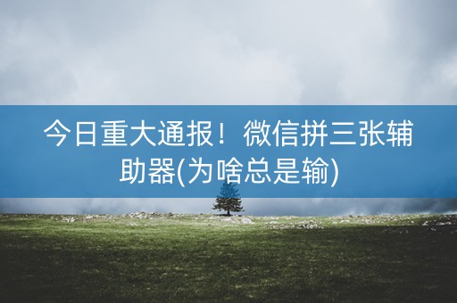 今日重大通报！微信拼三张辅助器(为啥总是输)