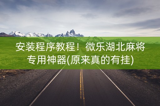 安装程序教程！微乐湖北麻将专用神器(原来真的有挂)