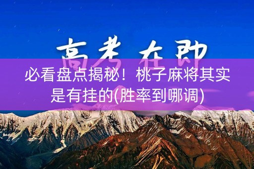 必看盘点揭秘！桃子麻将其实是有挂的(胜率到哪调)