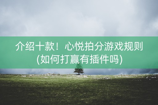 介绍十款！心悦拍分游戏规则(如何打赢有插件吗)