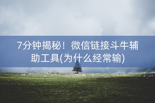 7分钟揭秘！微信链接斗牛辅助工具(为什么经常输)