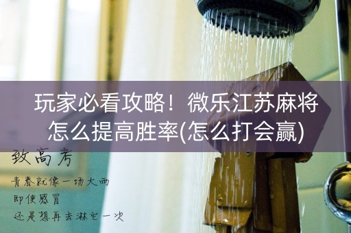 玩家必看攻略！微乐江苏麻将怎么提高胜率(怎么打会赢)