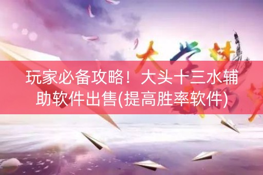玩家必备攻略！大头十三水辅助软件出售(提高胜率软件)