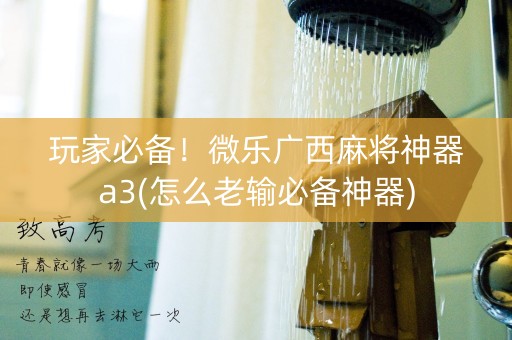 玩家必备！微乐广西麻将神器a3(怎么老输必备神器)