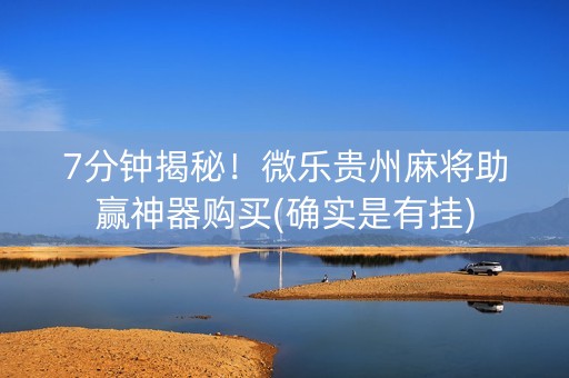 7分钟揭秘！微乐贵州麻将助赢神器购买(确实是有挂)