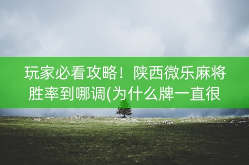 玩家必看攻略！陕西微乐麻将胜率到哪调(为什么牌一直很差)