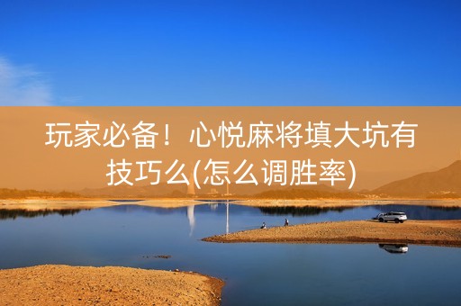 玩家必备！心悦麻将填大坑有技巧么(怎么调胜率)