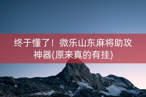 终于懂了！微乐山东麻将助攻神器(原来真的有挂)