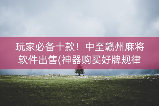 玩家必备十款！中至赣州麻将软件出售(神器购买好牌规律)