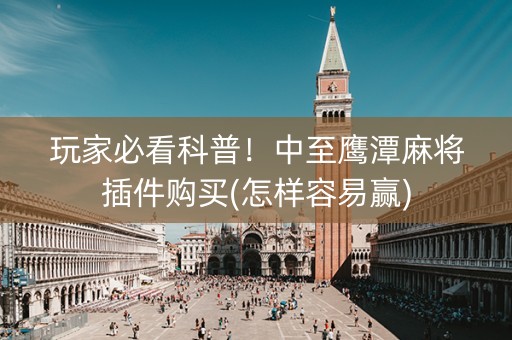 玩家必看科普！中至鹰潭麻将插件购买(怎样容易赢)