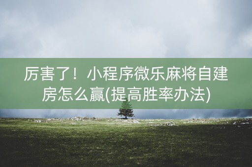 厉害了！小程序微乐麻将自建房怎么赢(提高胜率办法)
