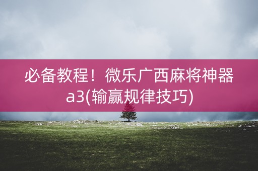 必备教程！微乐广西麻将神器a3(输赢规律技巧)