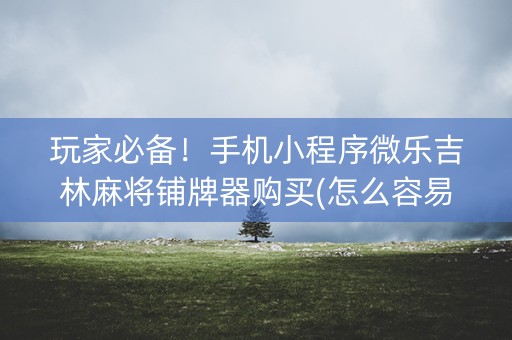 玩家必备！手机小程序微乐吉林麻将铺牌器购买(怎么容易赢)