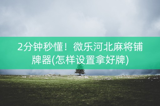 2分钟秒懂！微乐河北麻将铺牌器(怎样设置拿好牌)