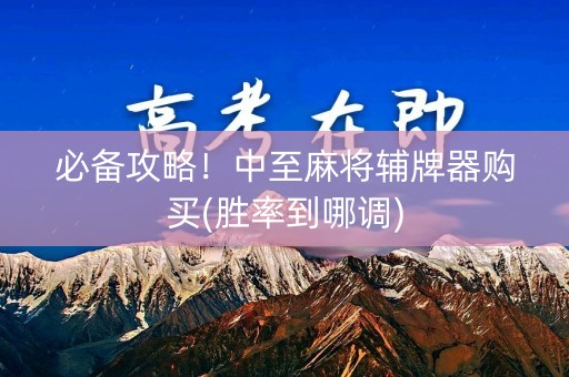 必备攻略！中至麻将辅牌器购买(胜率到哪调)