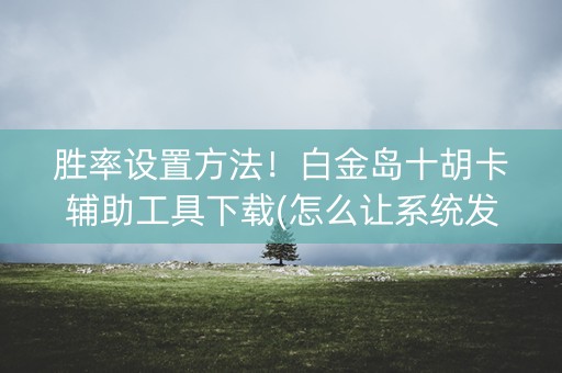 胜率设置方法！白金岛十胡卡辅助工具下载(怎么让系统发好牌)