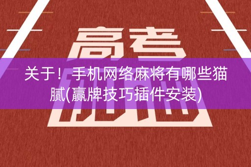 关于！手机网络麻将有哪些猫腻(赢牌技巧插件安装)