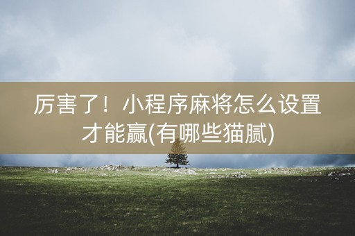 厉害了！小程序麻将怎么设置才能赢(有哪些猫腻)