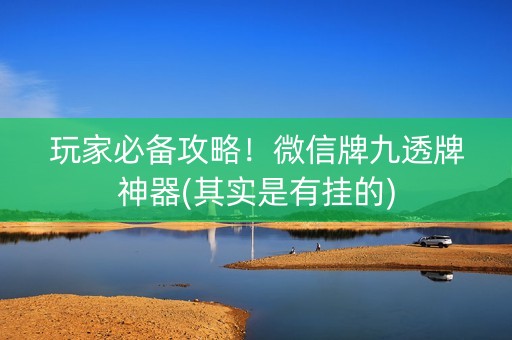 玩家必备攻略！微信牌九透牌神器(其实是有挂的)