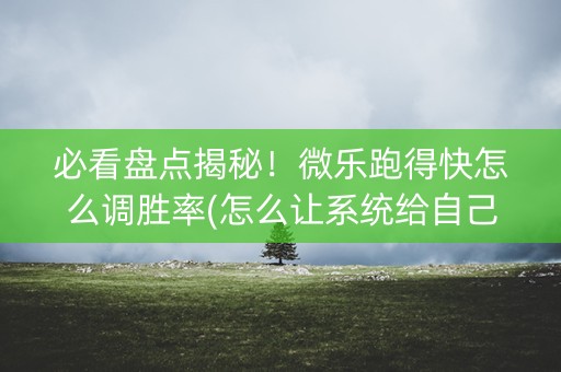 必看盘点揭秘！微乐跑得快怎么调胜率(怎么让系统给自己好牌)