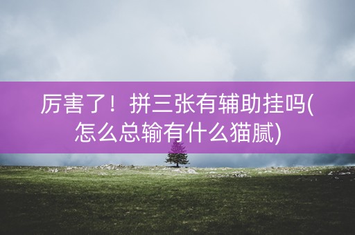 厉害了！拼三张有辅助挂吗(怎么总输有什么猫腻)