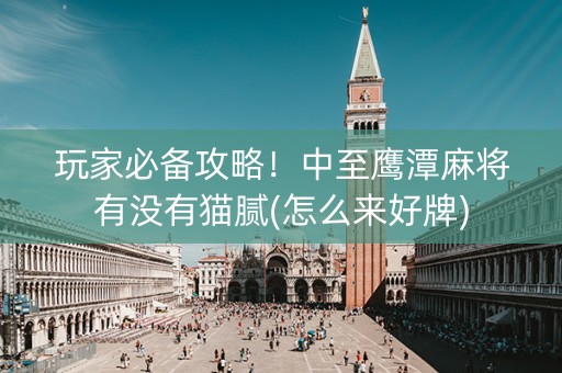 玩家必备攻略！中至鹰潭麻将有没有猫腻(怎么来好牌)