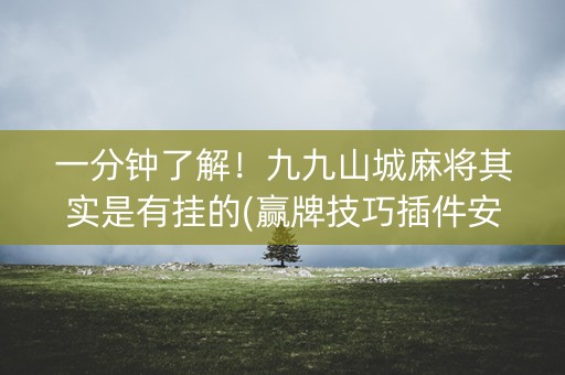一分钟了解！九九山城麻将其实是有挂的(赢牌技巧插件安装)