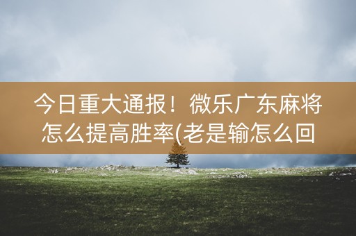 今日重大通报！微乐广东麻将怎么提高胜率(老是输怎么回事)
