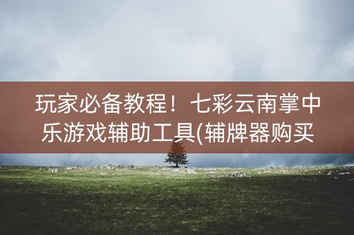 玩家必备教程！七彩云南掌中乐游戏辅助工具(辅牌器购买)
