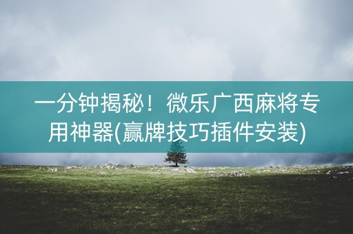 一分钟揭秘！微乐广西麻将专用神器(赢牌技巧插件安装)