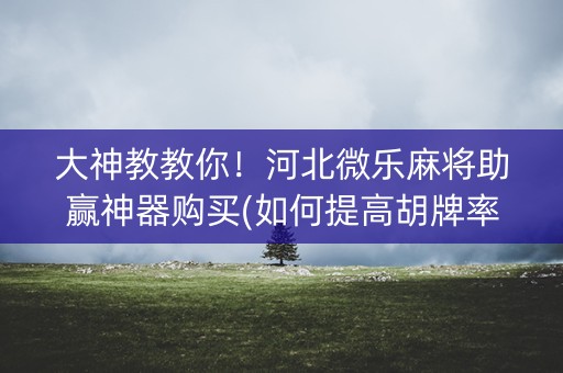 大神教教你！河北微乐麻将助赢神器购买(如何提高胡牌率)