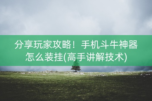 分享玩家攻略！手机斗牛神器怎么装挂(高手讲解技术)