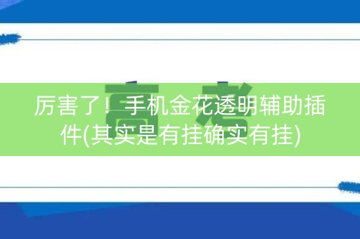 厉害了！手机金花透明辅助插件(其实是有挂确实有挂)