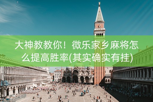 大神教教你！微乐家乡麻将怎么提高胜率(其实确实有挂)