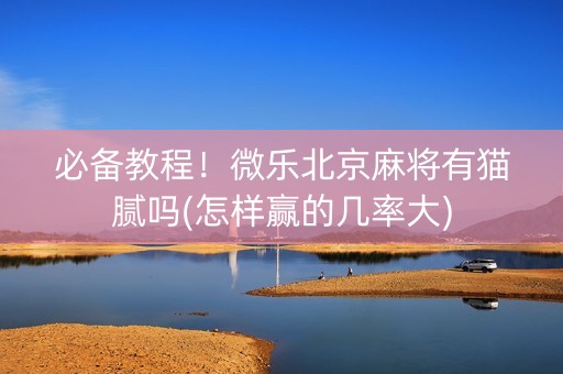 必备教程！微乐北京麻将有猫腻吗(怎样赢的几率大)