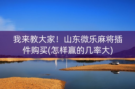 我来教大家！山东微乐麻将插件购买(怎样赢的几率大)