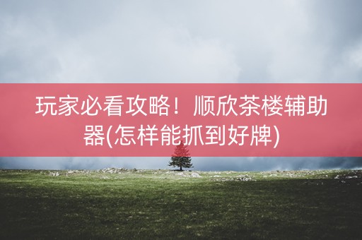 玩家必看攻略！顺欣茶楼辅助器(怎样能抓到好牌)