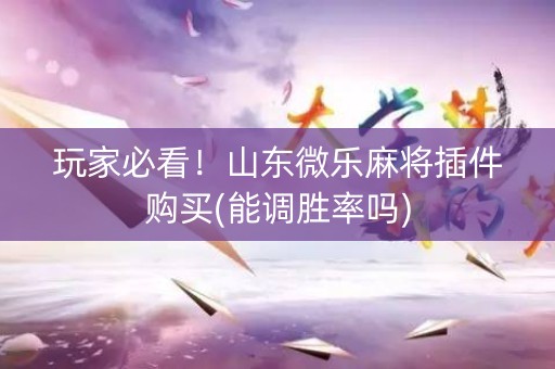 玩家必看！山东微乐麻将插件购买(能调胜率吗)