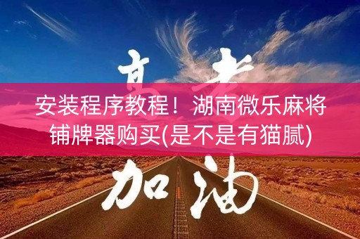 安装程序教程！湖南微乐麻将铺牌器购买(是不是有猫腻)