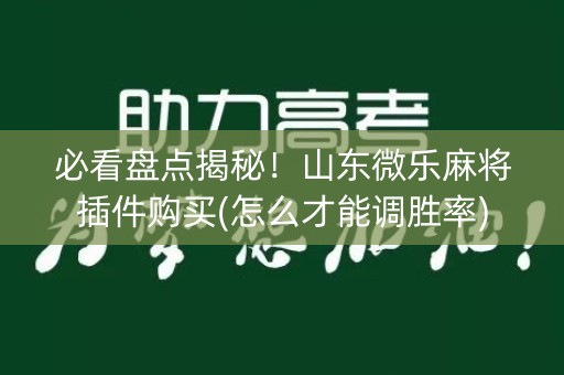 必看盘点揭秘！山东微乐麻将插件购买(怎么才能调胜率)