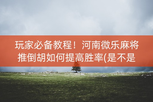 玩家必备教程！河南微乐麻将推倒胡如何提高胜率(是不是有猫腻)