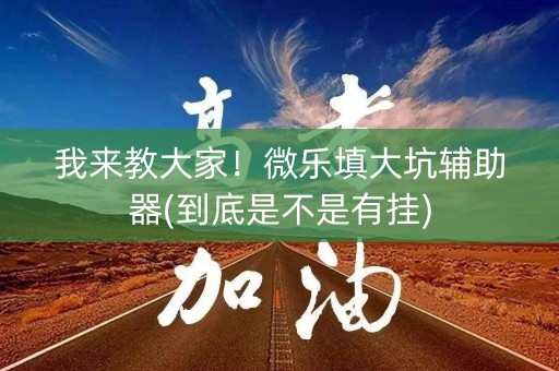 我来教大家！微乐填大坑辅助器(到底是不是有挂)