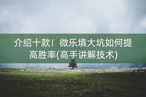介绍十款！微乐填大坑如何提高胜率(高手讲解技术)