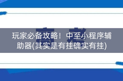 玩家必备攻略！中至小程序辅助器(其实是有挂确实有挂)