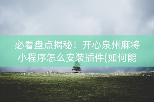 必看盘点揭秘！开心泉州麻将小程序怎么安装插件(如何能得到好牌)