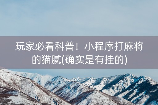 玩家必看科普！小程序打麻将的猫腻(确实是有挂的)