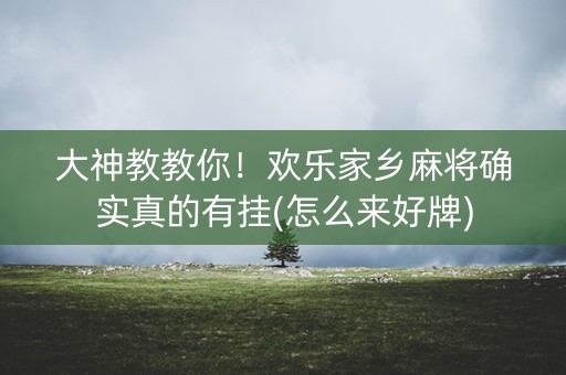 大神教教你！欢乐家乡麻将确实真的有挂(怎么来好牌)