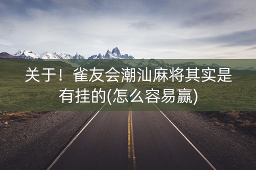 关于！雀友会潮汕麻将其实是有挂的(怎么容易赢)