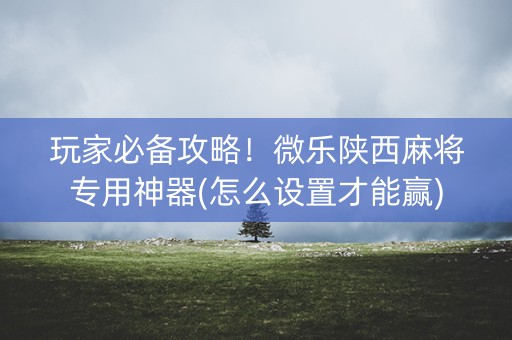 玩家必备攻略！微乐陕西麻将专用神器(怎么设置才能赢)