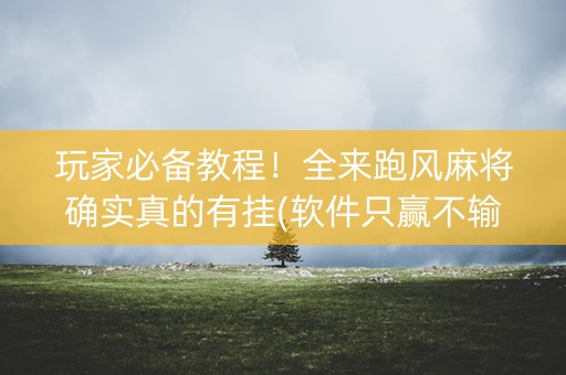玩家必备教程！全来跑风麻将确实真的有挂(软件只赢不输)